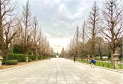 番町・九段・神楽坂・市ヶ谷