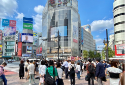 渋谷・松濤・南平台