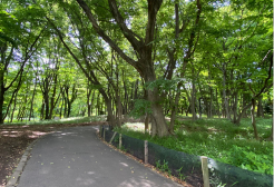 代々木上原・代々木公園・駒場